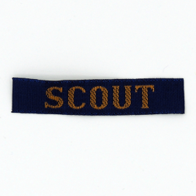 Ensenya SCOUTS