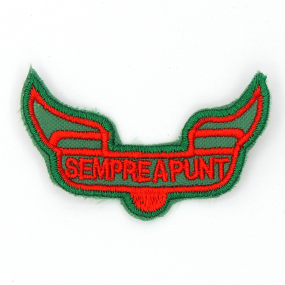 Ensenya "Sempre a punt"